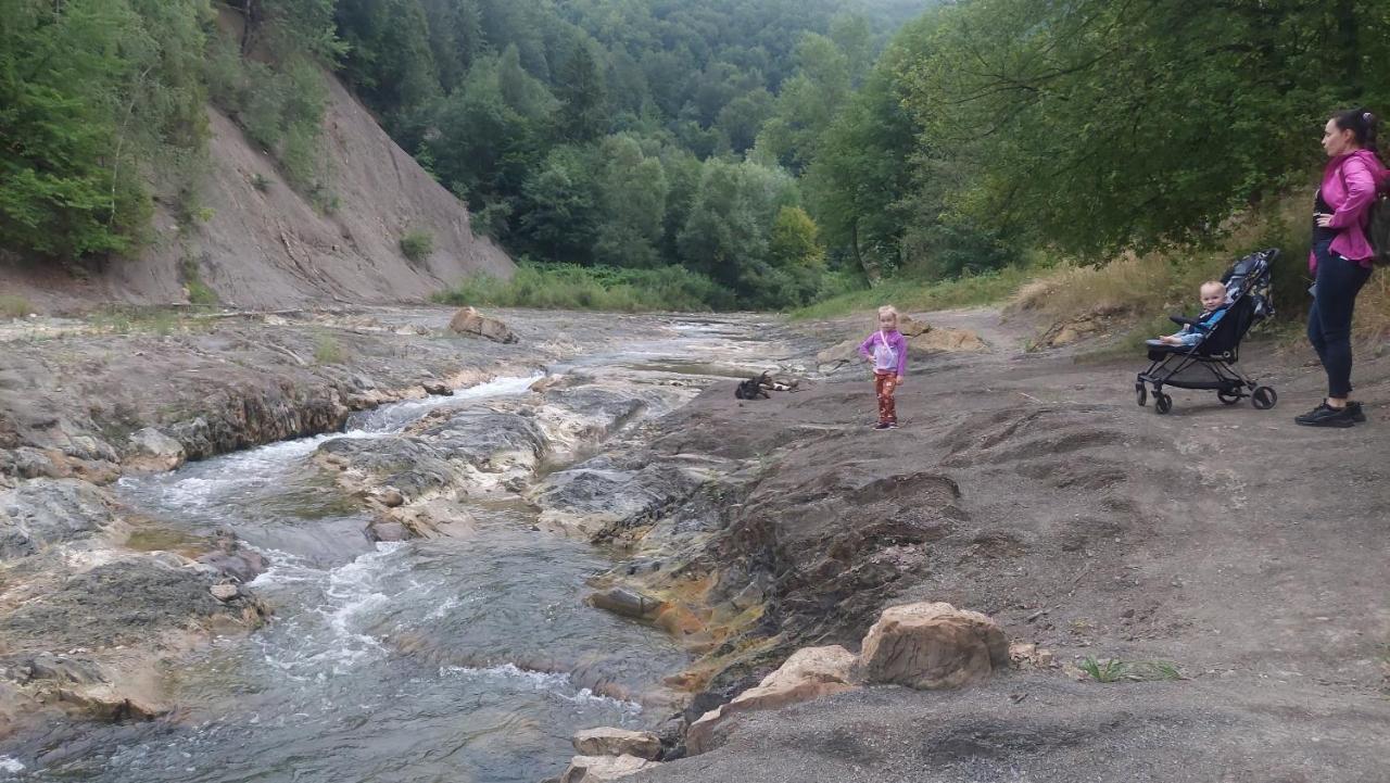 ששורי Садиба Федорчуків За Рікою מראה חיצוני תמונה